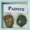 Natural PAINITE - raw and polished - great for collectors!