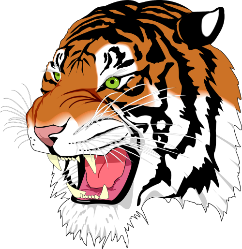 DIY PAINT BY NUMBERS. CANVAS KIT FOR KIDS A4 Tiger