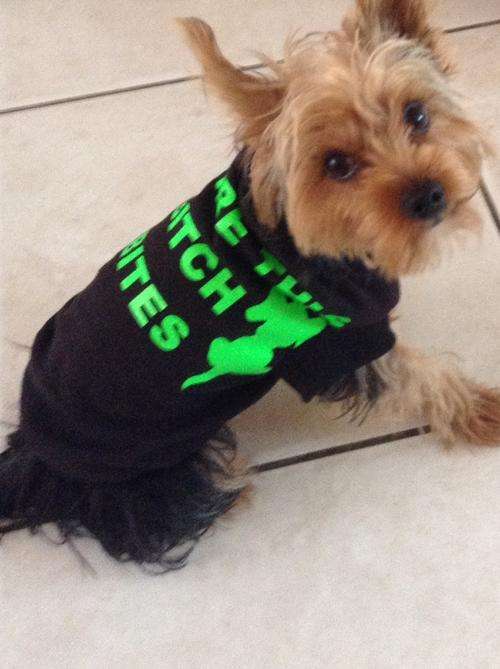 Funky Dog Jersey:- Beware This Bitch Bites Logo. All Sizes
