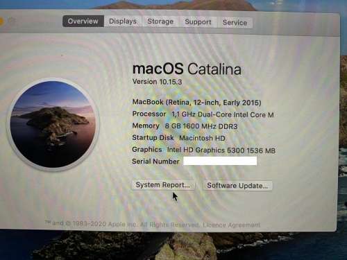 Macbook model 1,1GHZM Retina 12" Early 2015
