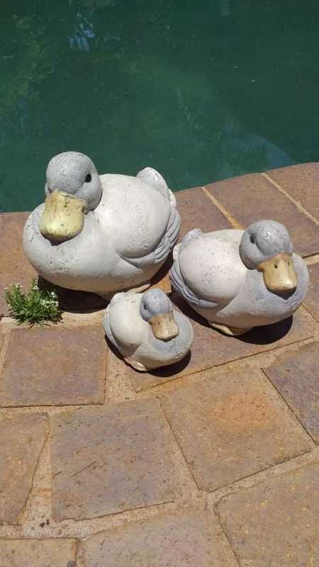 Clay Duck Family