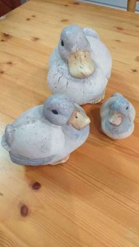 Clay Duck Family