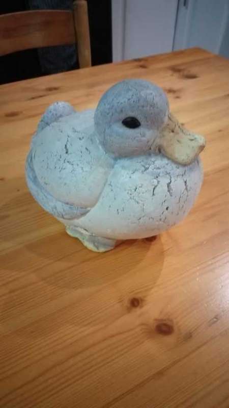 Clay Duck Family