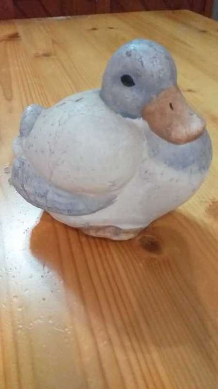 Clay Duck Family