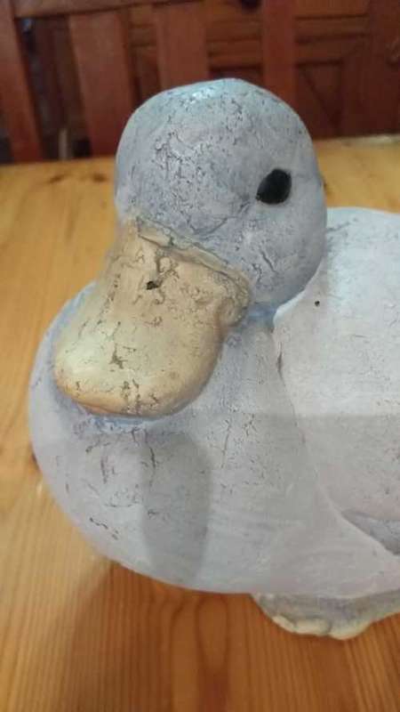 Clay Duck Family