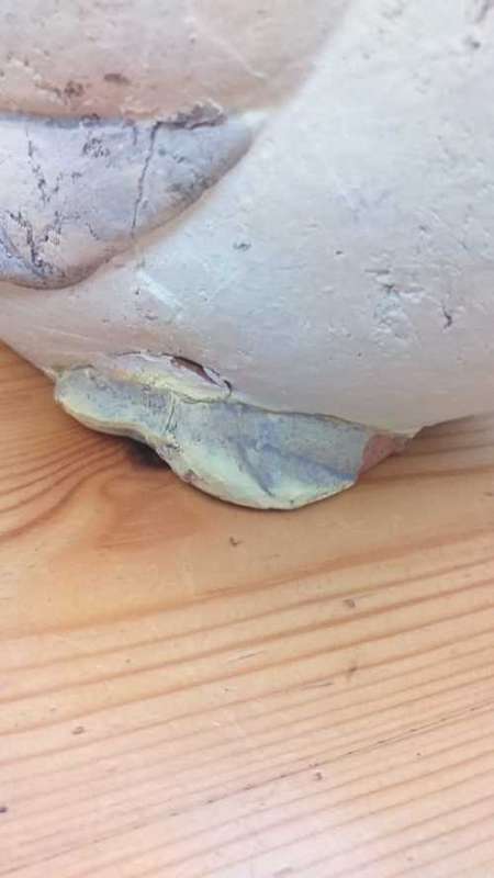 Clay Duck Family