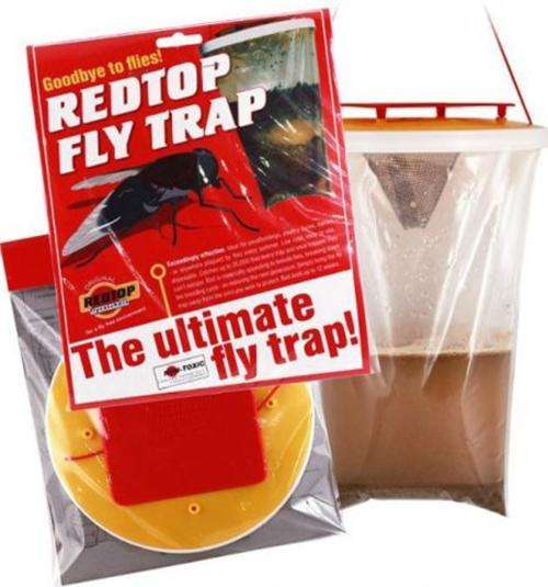 Redtop Flycatcher - Bait