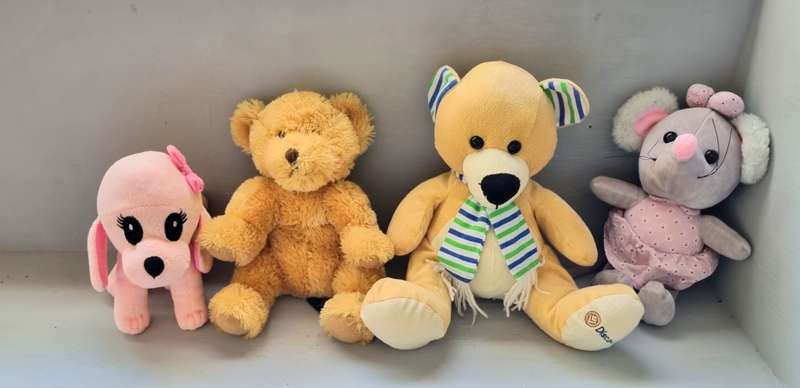 Collection of cute teddy bears