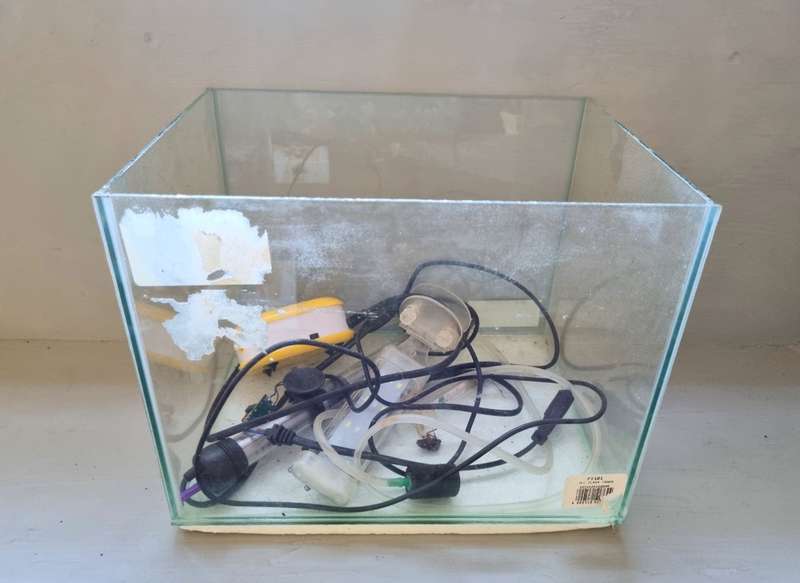 Small fish tank