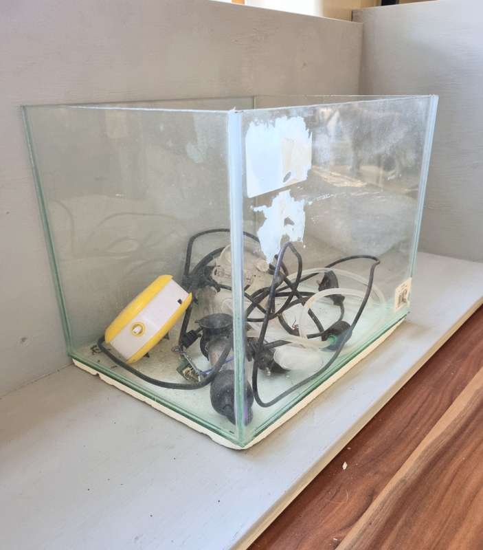 Small fish tank