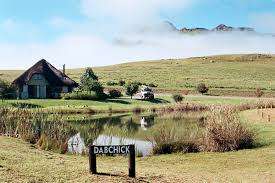 LUXURY BERG ESCAPE! R16 100 VALUE!!! CASTLEBURN CHALET 6 SLEEPER 06-03 > 13-03 (7 NIGHTS)