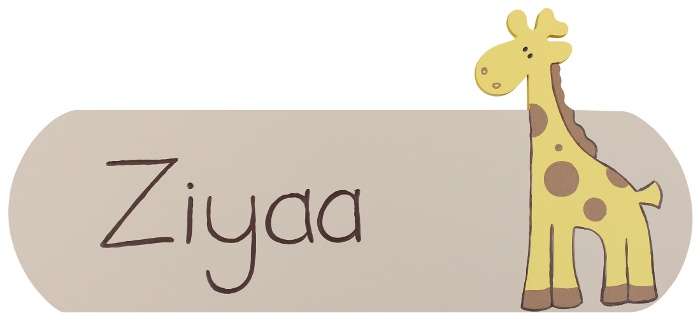 Personalised Name Plaque / Safari Giraffe