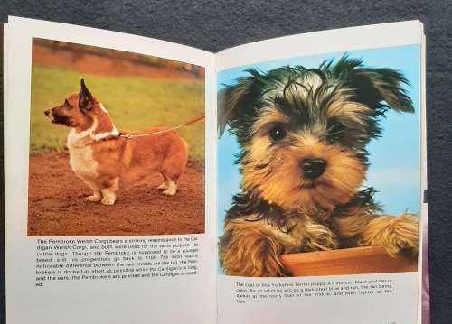Dog Breeding for Professionals -dr. Herbert Richards