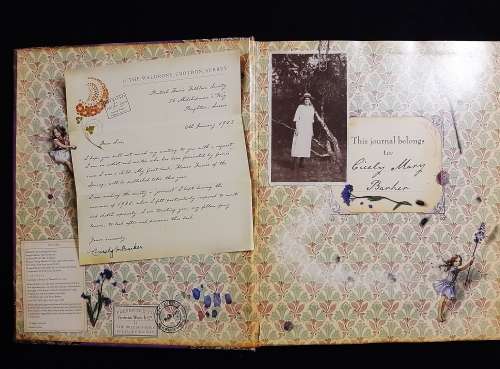 Fairyopolis a Flower Fairies Journal