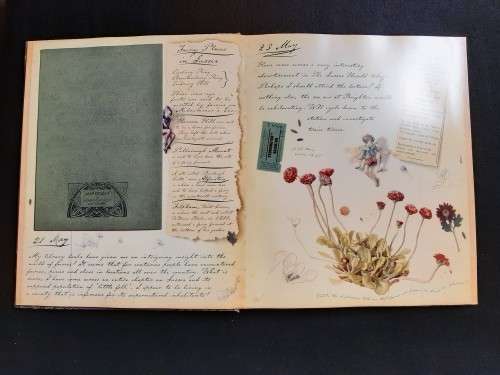 Fairyopolis a Flower Fairies Journal