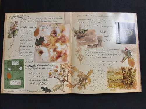 Fairyopolis a Flower Fairies Journal