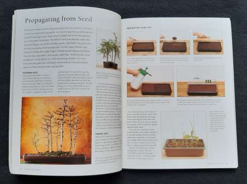 The Complete Practical Encyclopedia of Bonsai - Ken Norman
