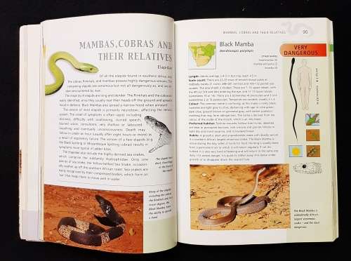 The Complete Guide to The Snakes of Southern Africa
