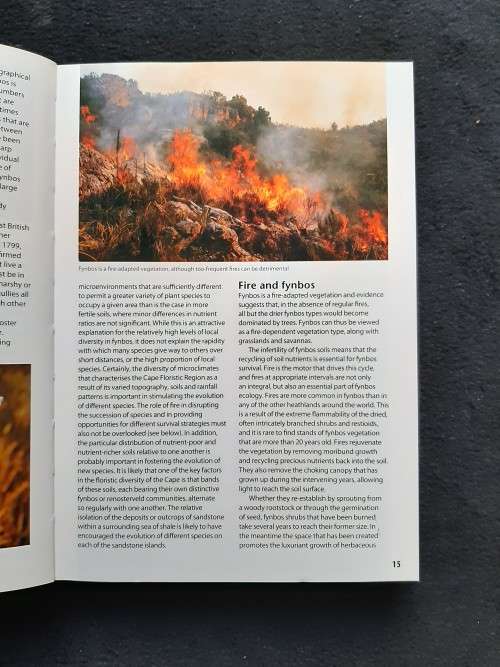 Field Guide to Fynbos - John Manning