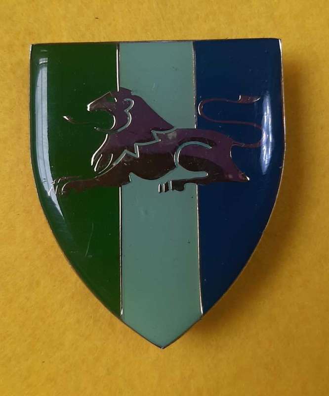 Eastern Transvaal Command Signal Unit Shoulder Flash - Left Hand