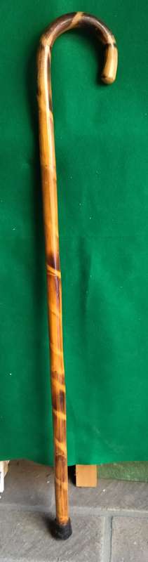 Cane walking stick