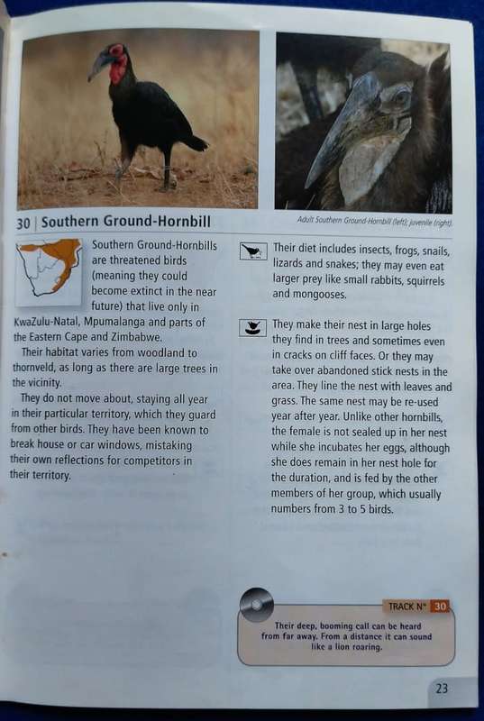 Bird calls for beginners - Doug Newman