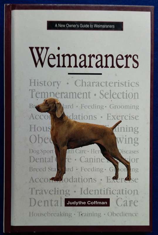 A New Owner's Guide to Weimaraners - Judythe Coffman