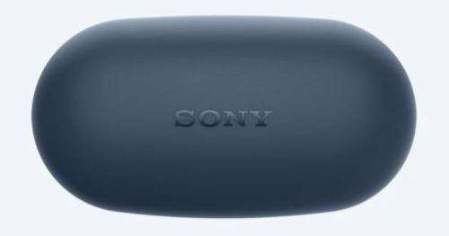 Sony WFXB700/B Bluetooth True Wireless In-Ear Headphones with Extra Bass (Blue)