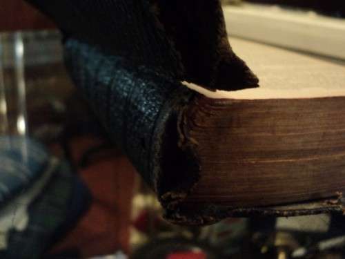 old dutch bible