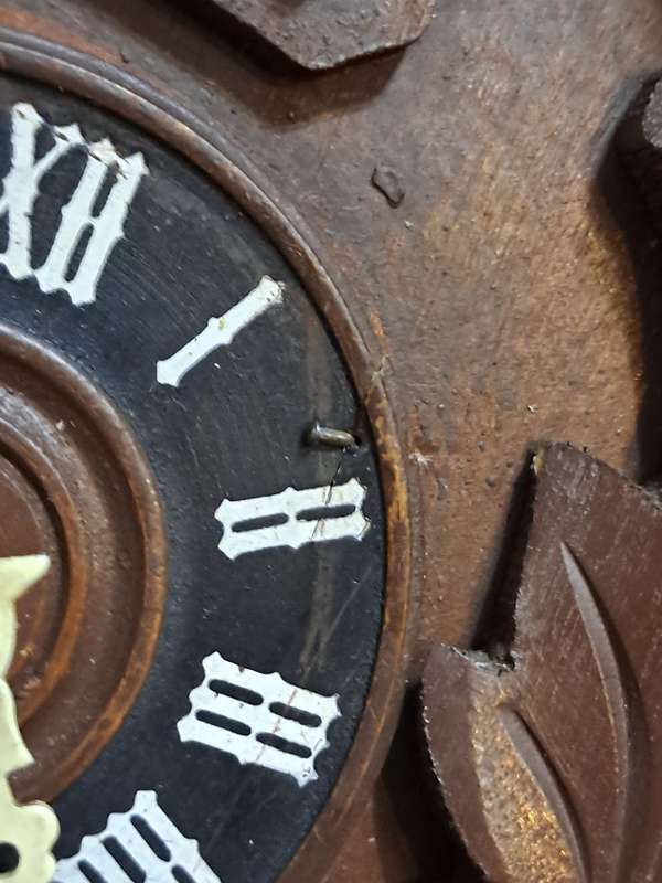 Cuckoo clock made in Germany  not tested (some slight damage)