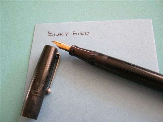 Black Bird Fountain Pen - note marks on cap