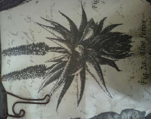 TABLE RUNNER - AGAPANTHUS AFRICANUS, GAZANIIA RIGENS, ZANTEDESCHIA AETHIOPICA AND ALOE FEROX DESIGN