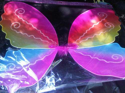 Amazing Multicoloured Fairy Wings