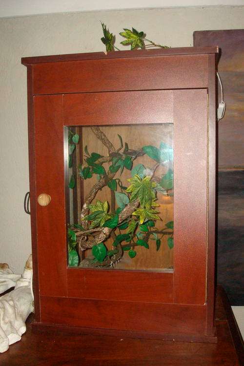 Chameleon Terrarium for sale