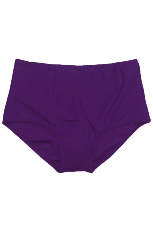 PRETTY PURPLE HIGH WAIST BIKINI BOTTOM