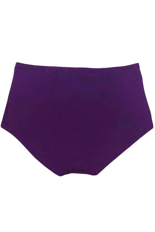PRETTY PURPLE HIGH WAIST BIKINI BOTTOM