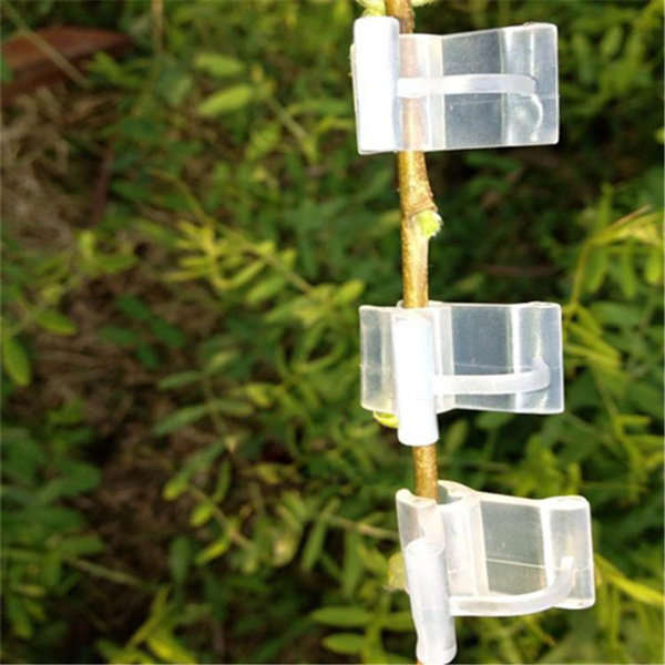 Seedlings Engraft Grafting Garden Tools Nursery Fruit Trees Grafting