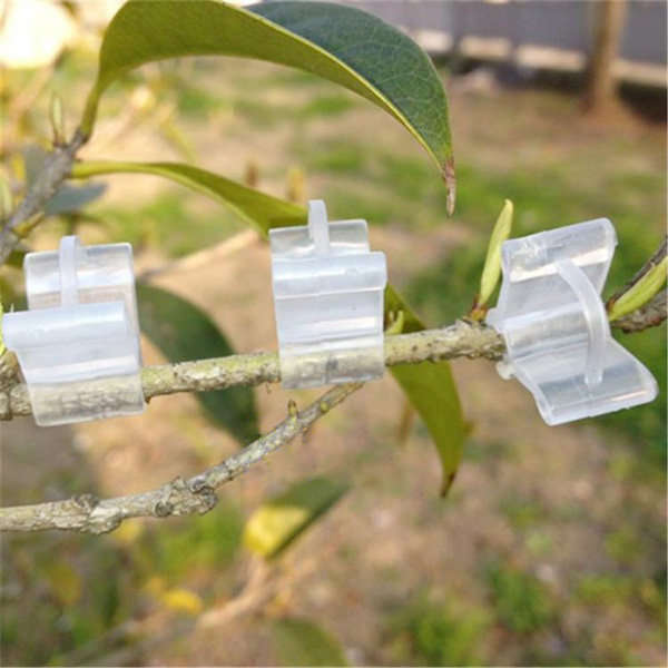 Seedlings Engraft Grafting Garden Tools Nursery Fruit Trees Grafting