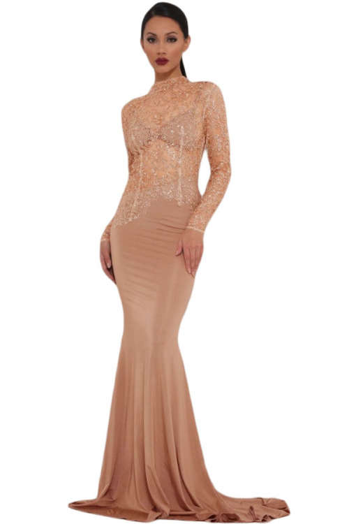 SEXY SHEER SPARKLE LACE BODICE DETAIL EVENING DRESS