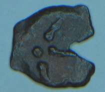 STOCK CLEARANCE SALE - Beautiful ancient Jewish coin, "Widow Mite" bronze prutah over 2000 years old