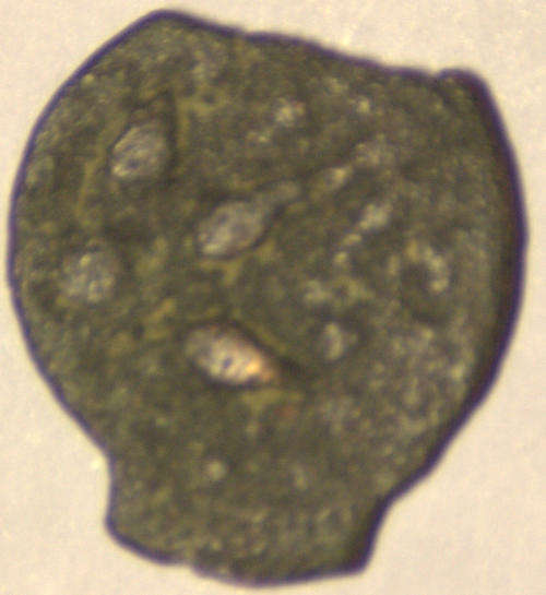 Beautiful ancient Jewish coin, "Widow Mite" bronze prutah over 2000 years old