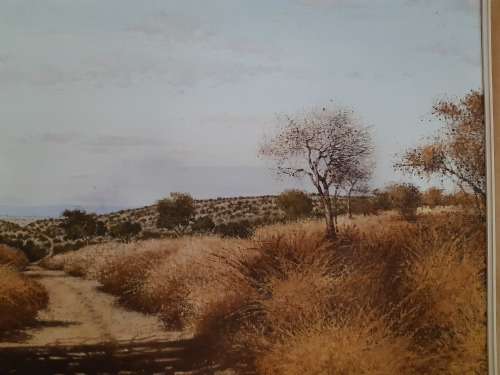 STUNNING ORIGINAL OIL PAINTING BY THE RENOWNED SOUTH AFRICAN ARTIST, MICHAEL HANCOCK
