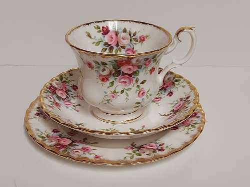 EXQUISITE VINTAGE ROYAL ALBERT COTTAGE GARDEN BONE CHINA TEA TRIO WITH A STUNNING FLORAL DESGN
