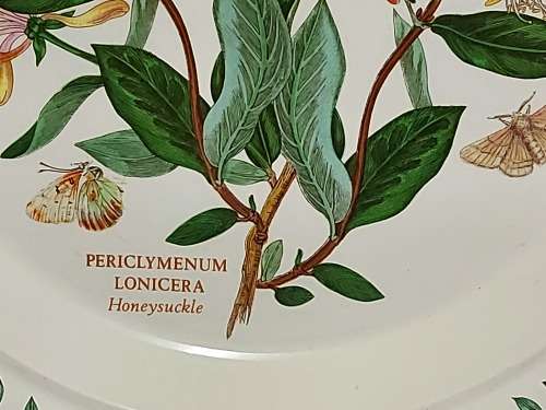 BEAUTIFUL VINTAGE PORTMEIRION THE BOTANIC GARDEN PLATE BY SUSAN WILLIAMS ELLIS