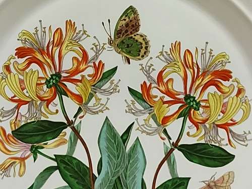 BEAUTIFUL VINTAGE PORTMEIRION THE BOTANIC GARDEN PLATE BY SUSAN WILLIAMS ELLIS
