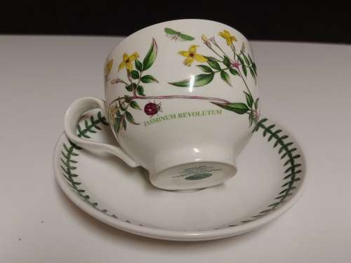 VINTAGE PORTMEIRION THE BOTANIC GARDEN BY SUSAN WILLIAMS-ELLIS TEA CUP AND SAUCER