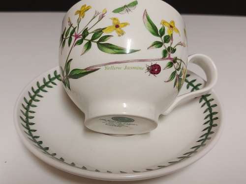 VINTAGE PORTMEIRION THE BOTANIC GARDEN BY SUSAN WILLIAMS-ELLIS TEA CUP AND SAUCER