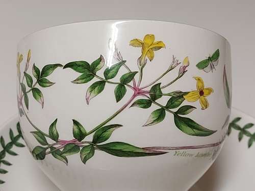 VINTAGE PORTMEIRION THE BOTANIC GARDEN BY SUSAN WILLIAMS-ELLIS TEA CUP AND SAUCER