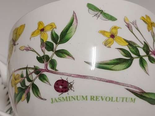 VINTAGE PORTMEIRION THE BOTANIC GARDEN BY SUSAN WILLIAMS-ELLIS TEA CUP AND SAUCER