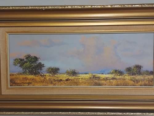 INVESTMENT ART: ORIGINAL FRANCOIS BADENHORST OIL ON BOARD PAINTING WITH A BEAUTIFUL FRAME